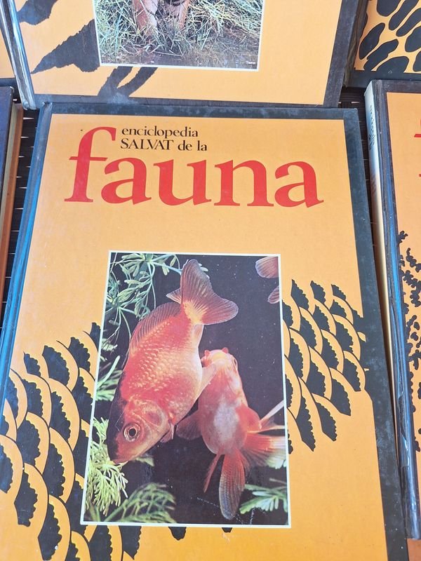 Item 879823 - Image 2