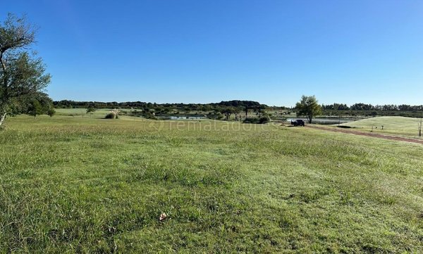Campo Uruguayo con Pastizales y Lagos