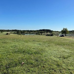 Lote siguiente: Campo Uruguayo con Pastizales y Lagos