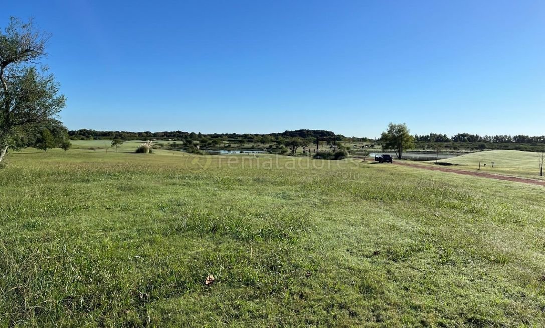 Campo Uruguayo con Pastizales y Lagos