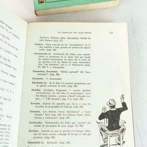 2 Libros: Diccionario de Sinónimos del Lunfardo y Lenguaje del Bajo Fondo - imagen 2