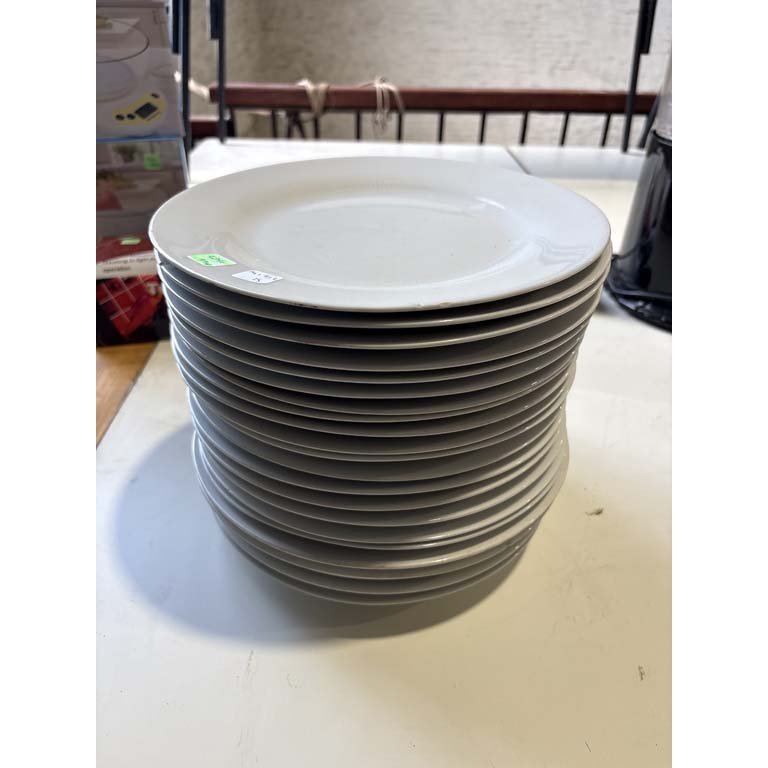 Lote siguiente: Platos Llanos de Cerámica de 27 cm de Diámetro