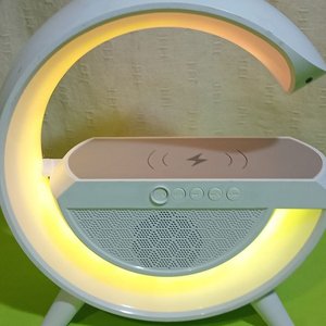 Lote anterior: Parlante Multimedia Bluetooth con Luces LED y Carga Inalámbrica