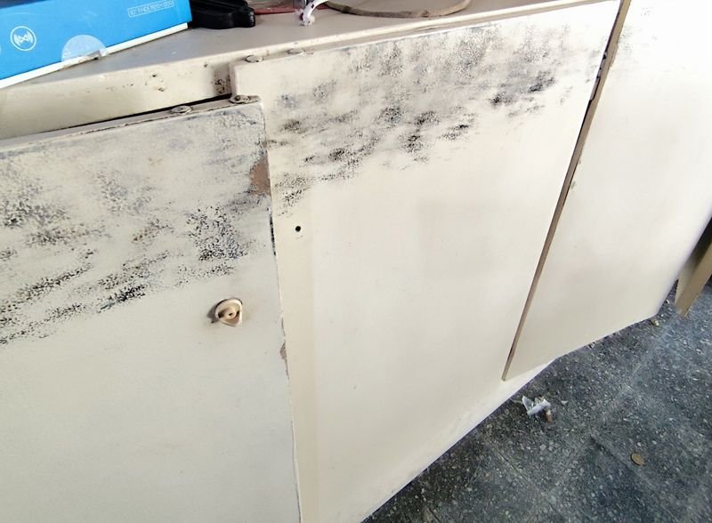 Item 880285 - Image 2