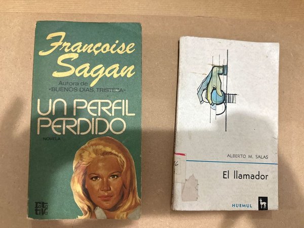 Libros: "Un Perfil Perdido" de Françoise Sagan y "El Llamador"