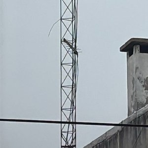 Torre para Antena de Radioaficionado, 30 Metros Aprox. - imagen 2