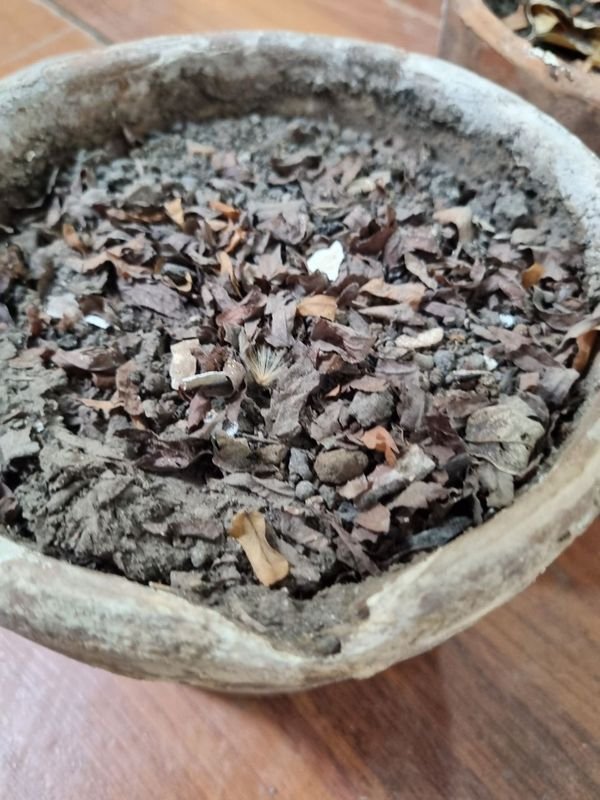 Macetas de barro para decorar el hogar - imagen 5