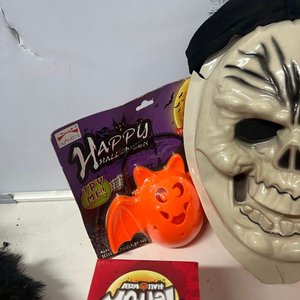 Lote de Decoración Halloween: Calabazas, Careta, Arañas y Más - imagen 5
