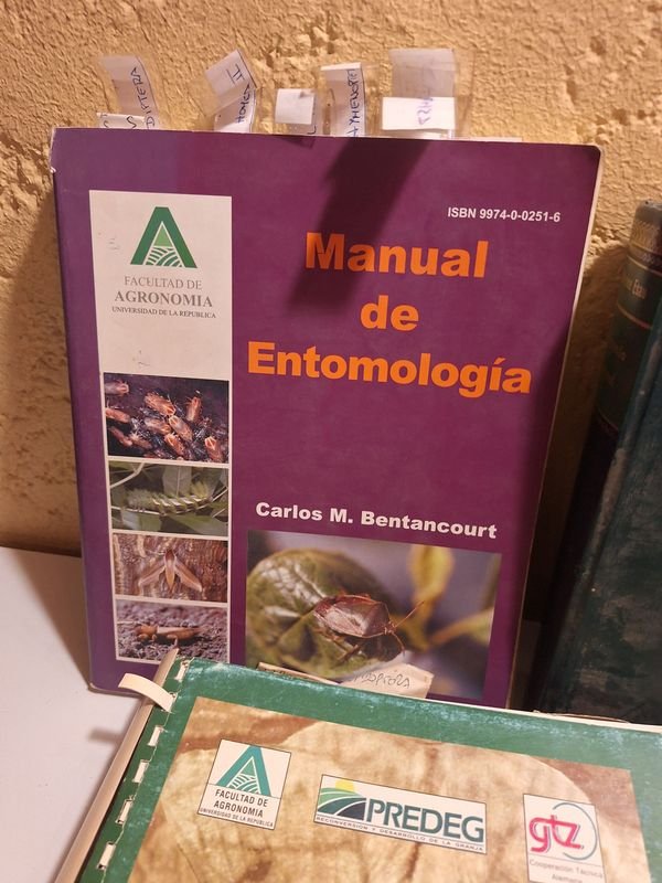 Item 870072 - Image 7