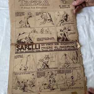 Diarios Antiguos de Colonia del Sacramento: El Día y La Gaceta Mayor - imagen 22