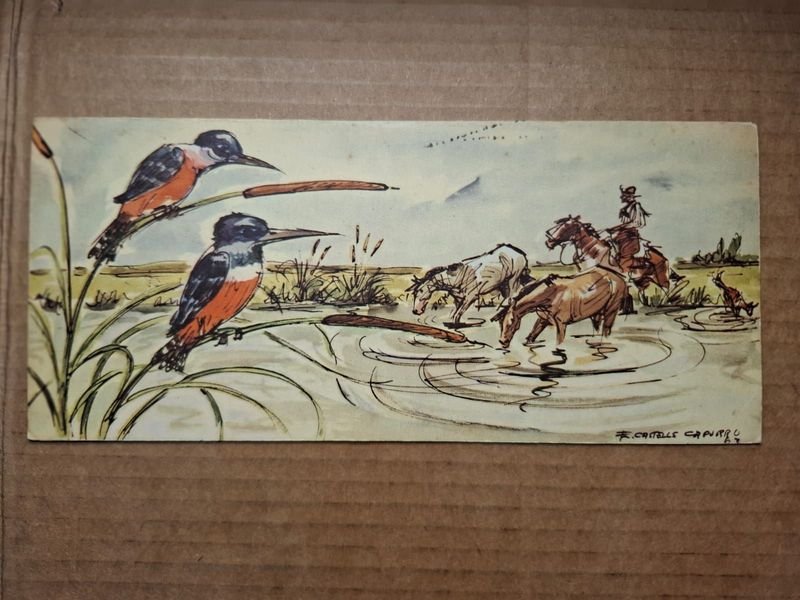 Item 859616 - Image 0