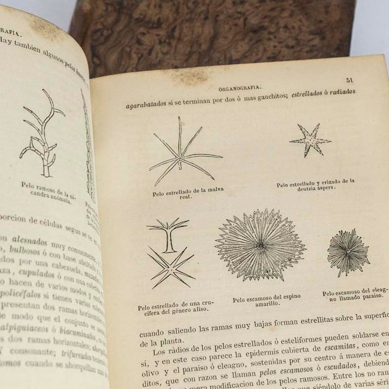 Item 2111612 - Image 1