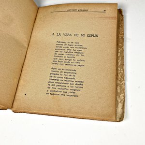 Carpas Azules de H. Alvarez Morales: Primera Edición 1944 - imagen 4