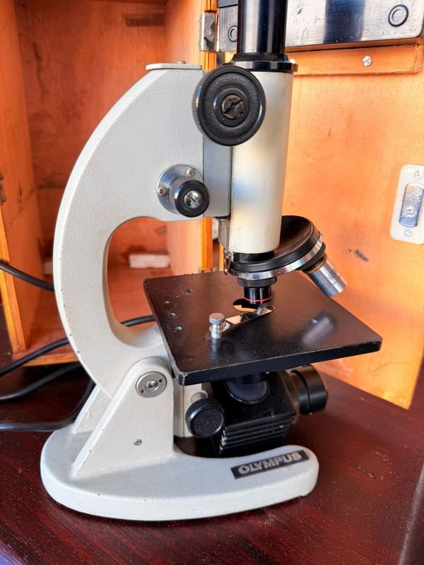 Item 881671 - Image 1