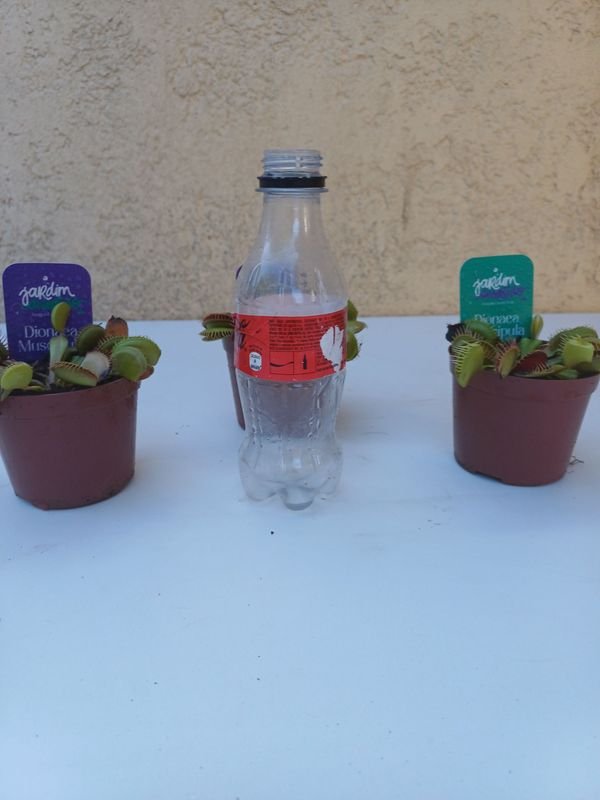 Item 875541 - Image 4