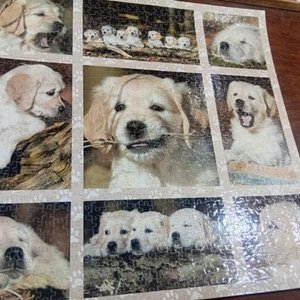 Puzzle Plastificado Completo de Golden Retrievers Bebés - imagen 3