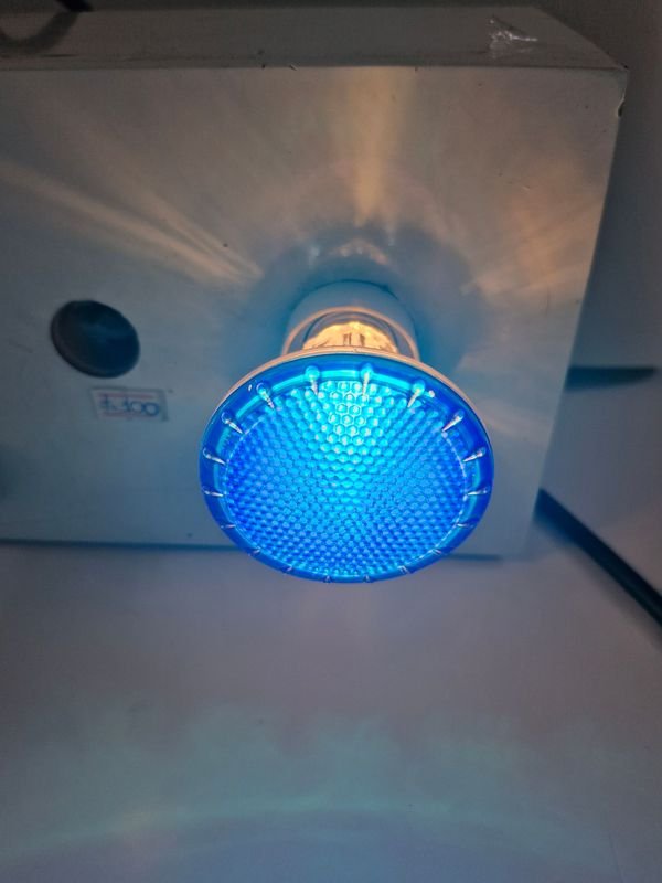 Lámpara LED Par20 AVANT 50W 220V - imagen 4