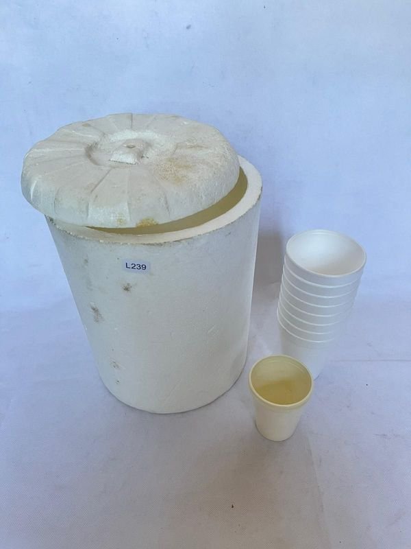 Conservadora de Espuma Plástica con Tapa y Vasos - imagen 2