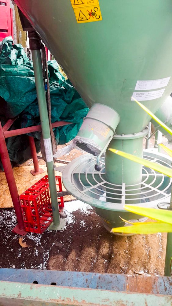 Item 488951 - Image 3