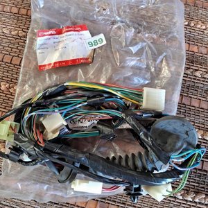 Arnés de Cables Puerta Delantera Izquierda Haima Q00C4002110 - imagen 1