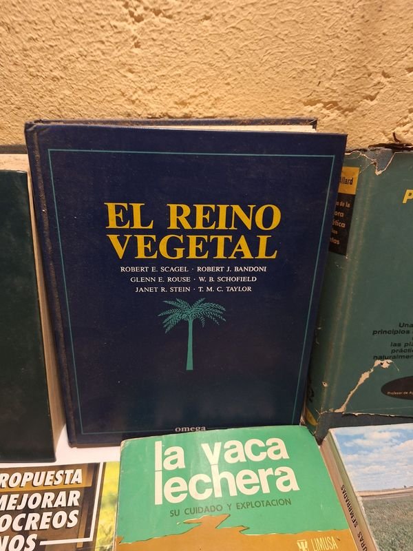 Item 870072 - Image 8