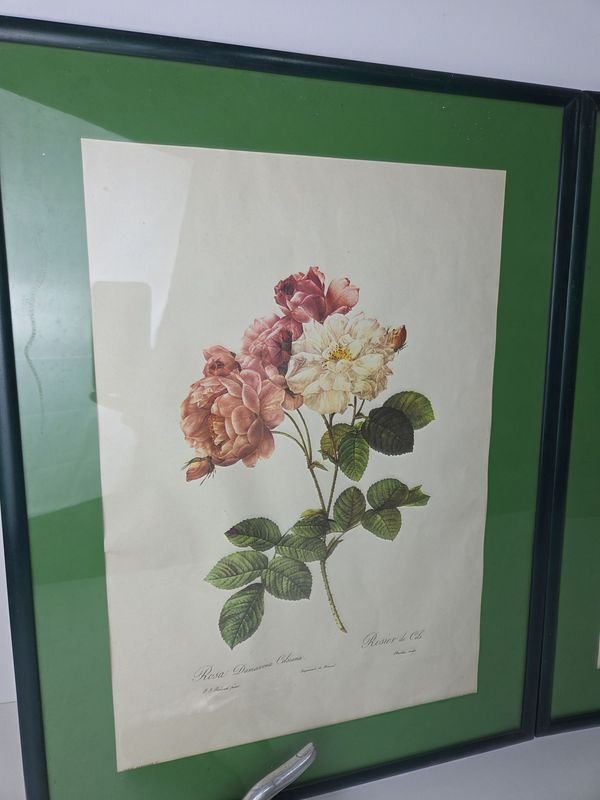 Pinturas de flores enmarcadas, estilo francés - imagen 3
