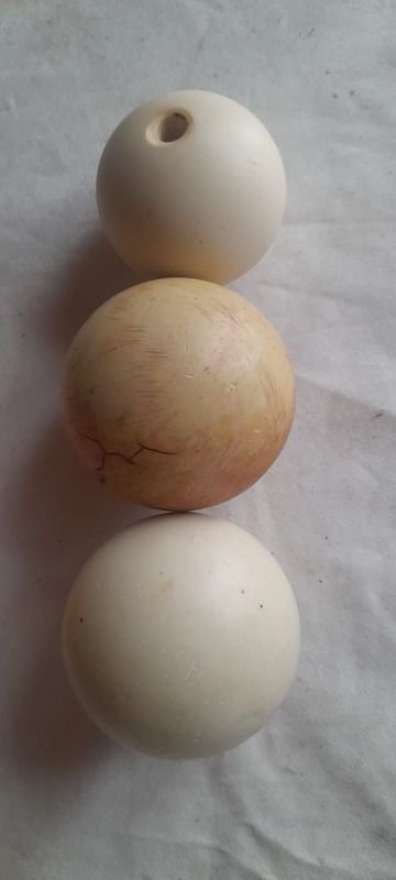 Item 878800 - Image 0