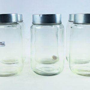 Seis frascos hialinos con tapa 19 cm - imagen 3