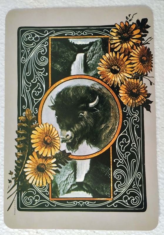 Vinilo de Three Dog Night: Seven Separate Fools, 1972 - imagen 6