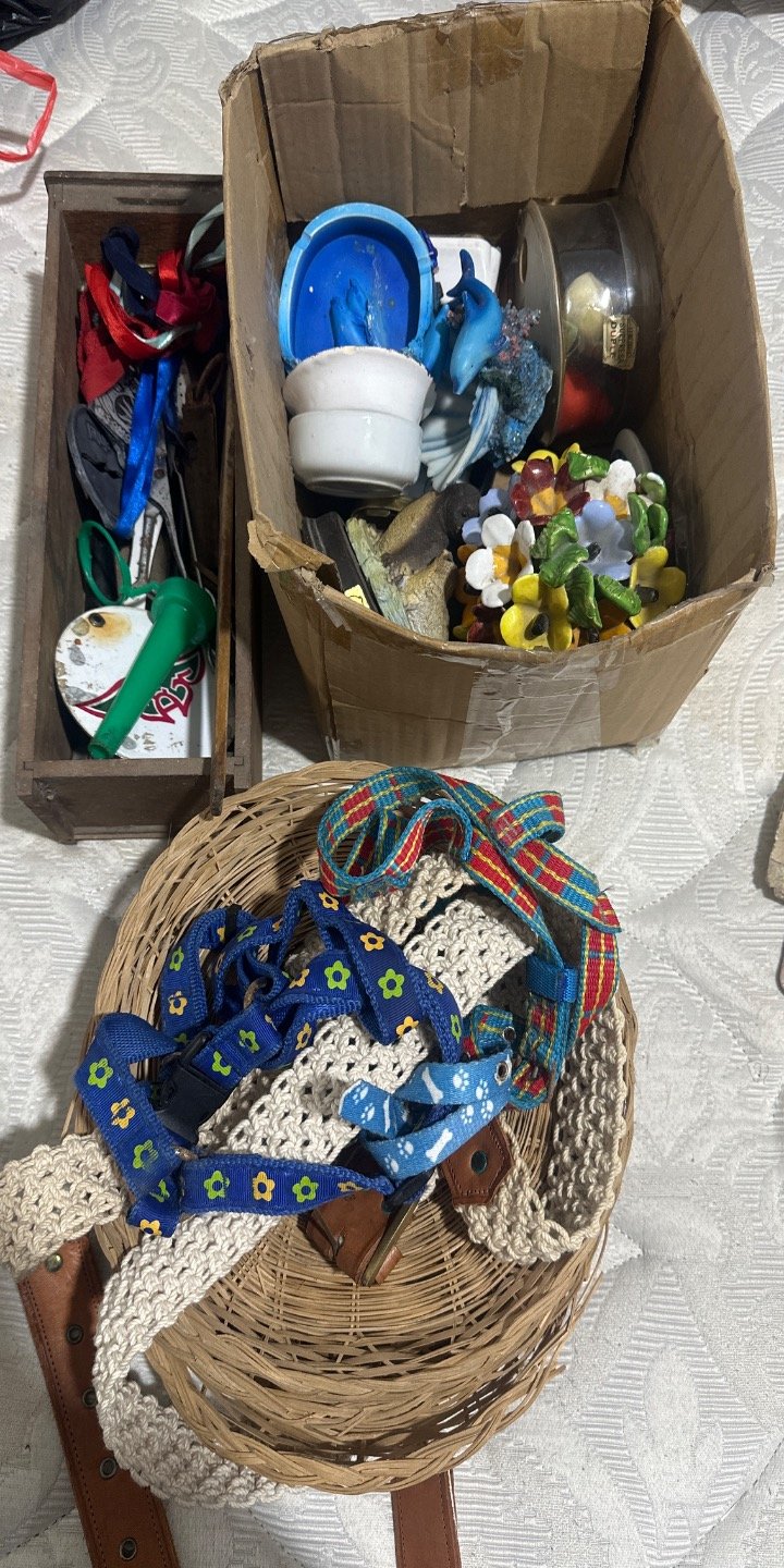 Lote Variado de Objetos Decorativos y Accesorios