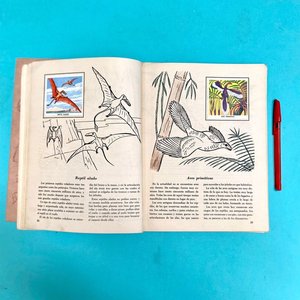 Álbum de Figuritas "Animales del Pasado" - Colección "Un Libro de Oro de Estampas" - imagen 8