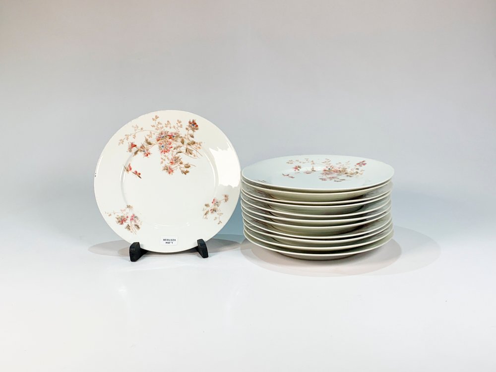 Doce Platos Llanos de Porcelana Limoges con Decoración Floral
