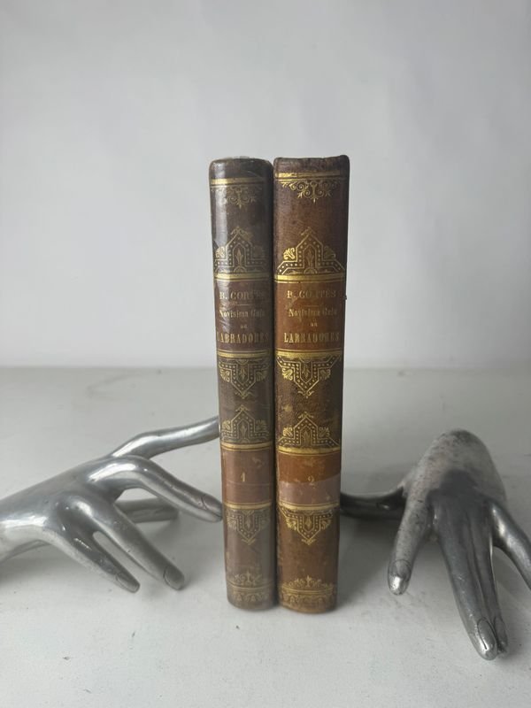 Lote siguiente: 2 Tomos de Tesoro del Campo por Leocadio Lopez Editor - Libros antiguos con encuadernación en cuero y oro