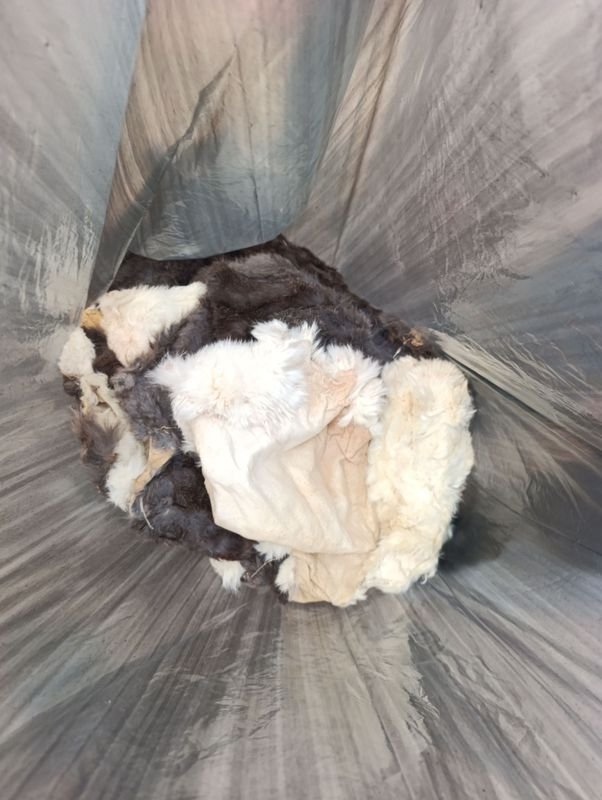 Pelajes de conejo para venta - imagen 3