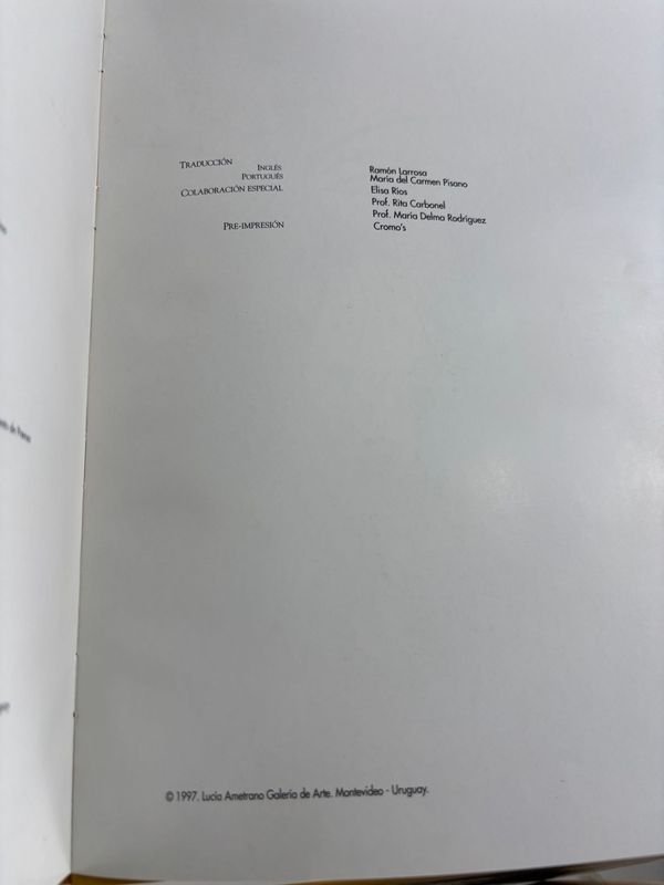 Libro sobre Sudamérica y el MERCOSUR - imagen 8