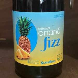 Champagnera "Callati" Metálica con Grabado y Botella de Ananá Fizz - imagen 5