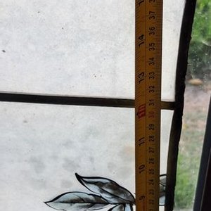 Dos Vitrales Antiguos con Rosas y Detalles Dorados - imagen 6