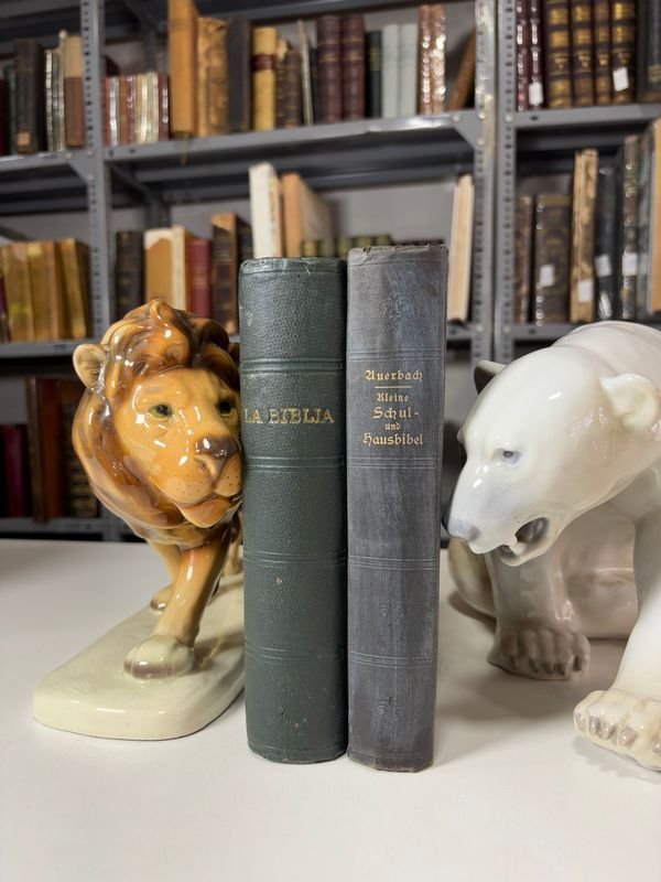 Item 879439 - Image 0