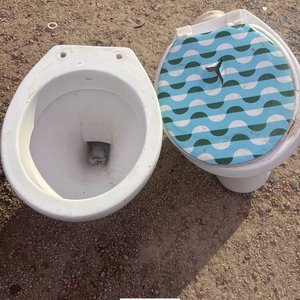 Dos Inodoros Blancos con Tapa Decorada - imagen 2