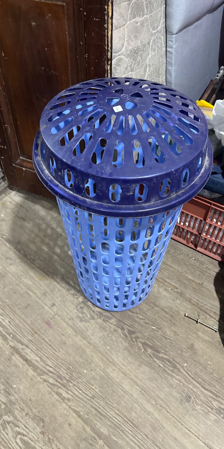 Canasto de Plástico Azul con Tapa