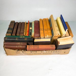 Lote de Libros Antiguos y Modernos Variados - imagen 2