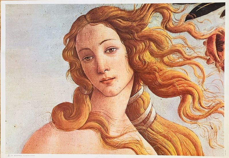 Item 890051 - Image 0