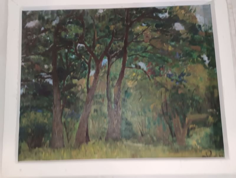 Item 893347 - Image 0