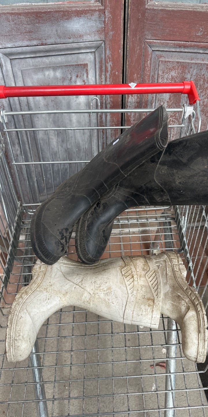 2 par botas