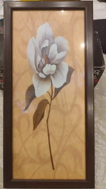 Item 866890 - Image 0