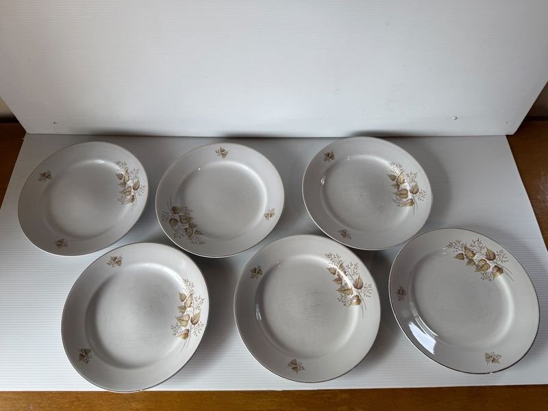 Juego de Vajilla Olmos Incompleto: 6 Platos Llanos, 3 Hondos, 1 Fuente y 1 Ensaladera
