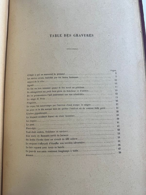 Libro clásico de J.R. WYSS, 'Le Robinson Suisse', edición de 1922 - imagen 7