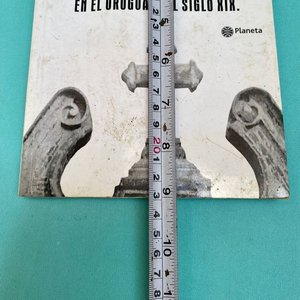 Libro Testigos de un Silencio: Metodismo y Masonería en Uruguay Siglo XIX - imagen 6