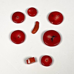 Lote siguiente: Ocho Corales Naturales Rojos para Joyería