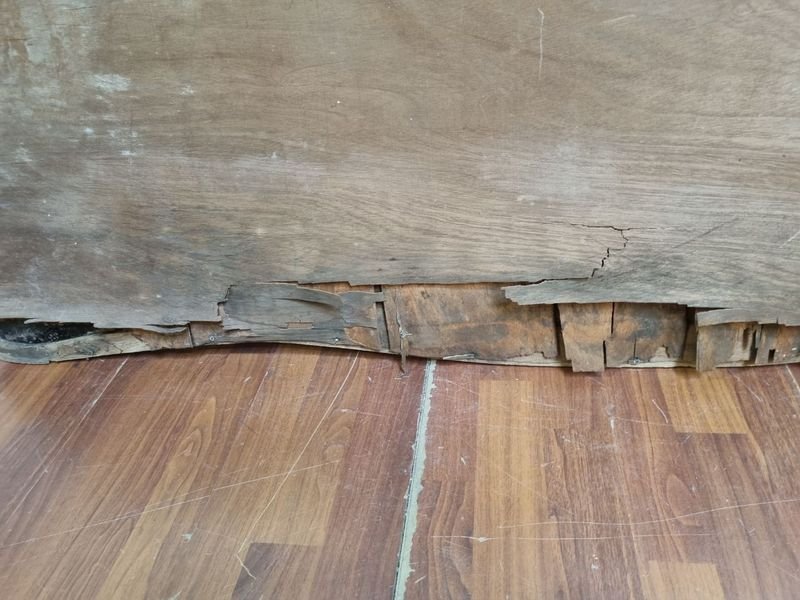 Item 870579 - Image 9